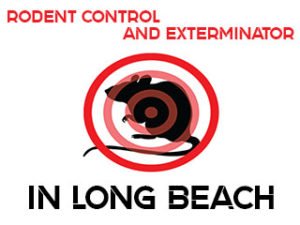 Rodent Control and Exterminator in Long Beach